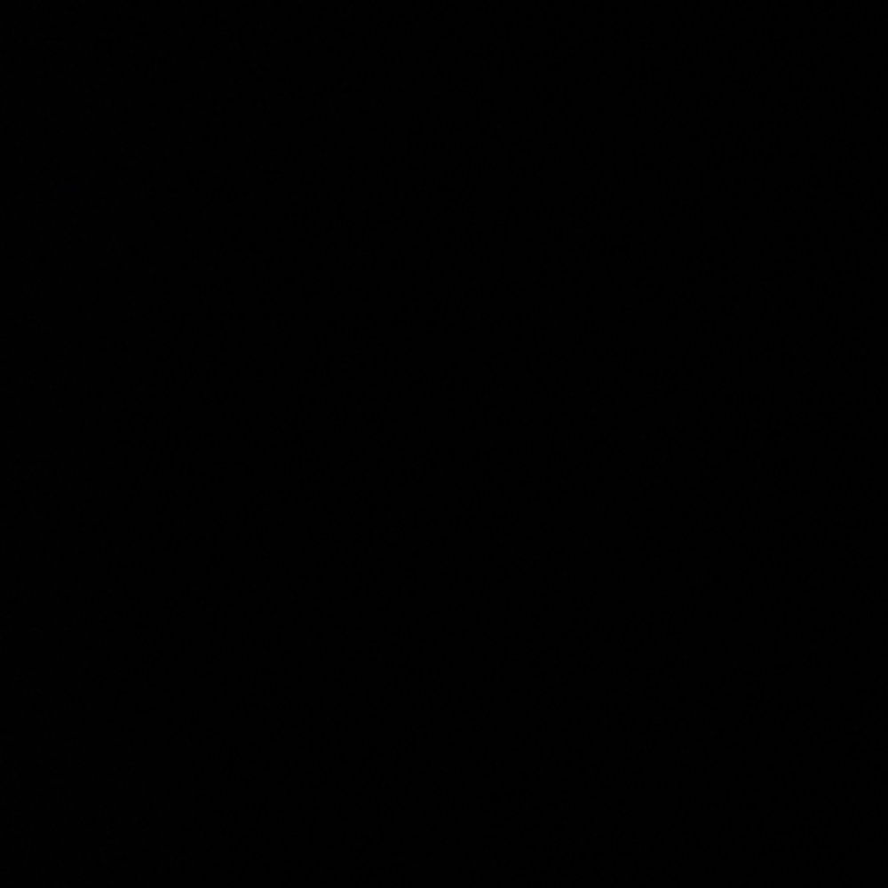 Meet your Posher, Lashay